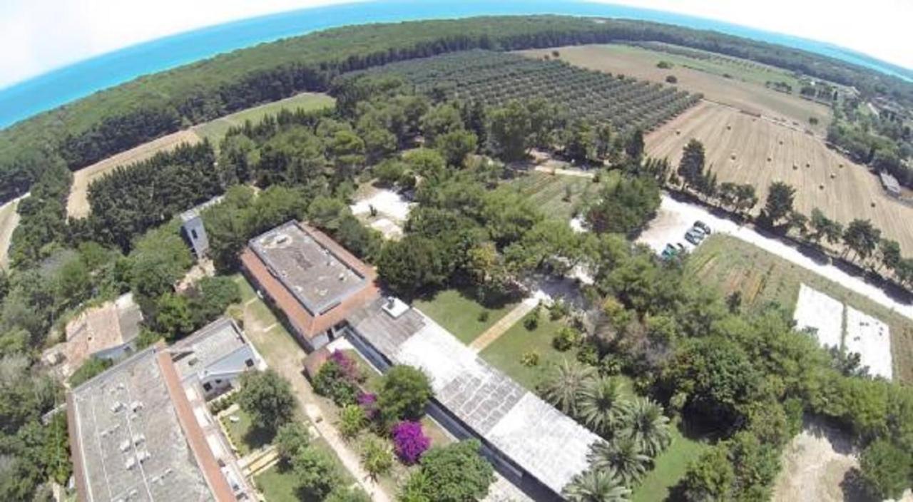 Missipezza Residence A Frassanito 阿利米尼 外观 照片